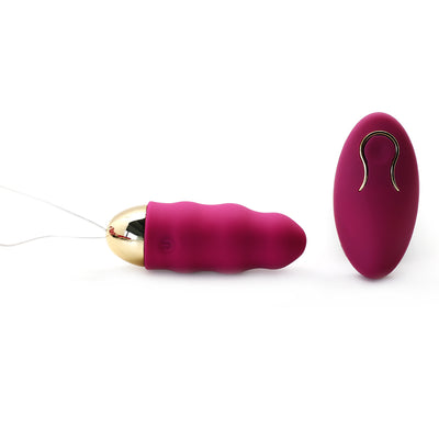 Remote Control Vibrating Egg