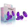 Cheeky Charms - Rechargeable Vibrating Metal Butt  Plug With Remote Control -Small